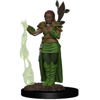 D&D Icons of the Realms Premium Figures Human Female Druid (WZK93009)