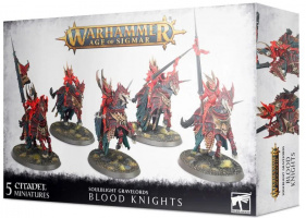 Warhammer Age of Sigmar: Soulblight Gravelords - Blood Knights (91-41)