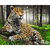 Картины по номерам. Леопард в лесу 40х50 см. Арт. H072