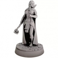 Миниатюра "Наблюдательная друидка" (80130)