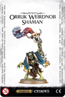 Warhammer Age of Sigmar: Weirdnob Shaman (89-27)