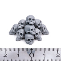 Черепа человеческие (Skulls) - M (1/32), 10шт (S-210)
