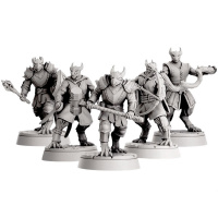 Набор миниатюр "Драконорожденные" (22017) 37 мм