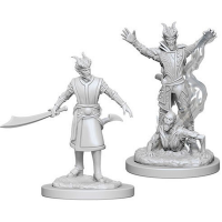 D&D Nolzur's Marvelous Miniatures Male Tiefling Warlock (WZK73388)