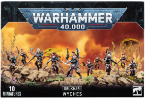Warhammer 40,000: Drukhari - Wyches (45-08)