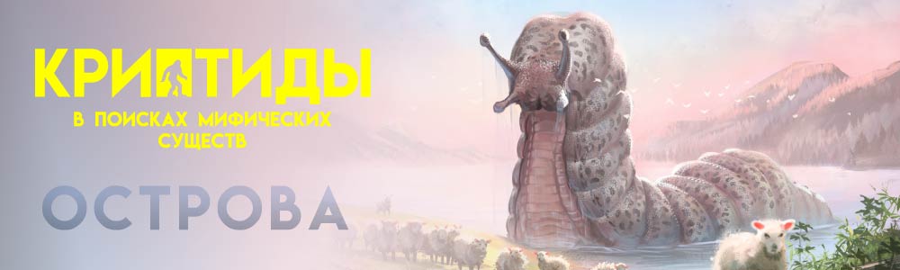 crypticnaturebanner3.jpg crypticnaturebanner3.jpg